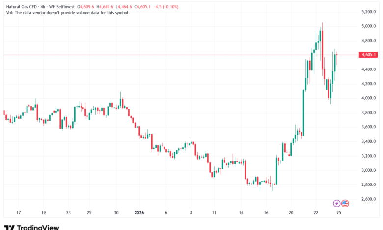تحليل الغاز الطبيعي NATURAL GAS 26-1-2026