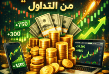 كم الربح اليومي من التداول؟