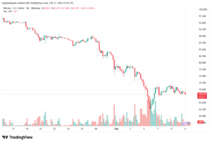 تحليل البتكوين دولار BTCUSD-11-02-2026