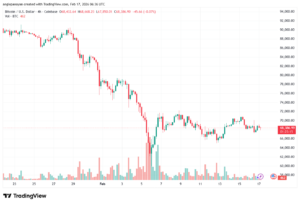تحليل البتكوين دولار BTCUSD-17-02-2026
