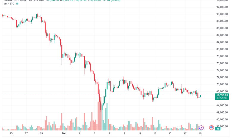 تحليل البتكوين دولار BTCUSD-19-02-2026