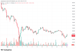 تحليل البتكوين دولار BTCUSD-25-02-2026
