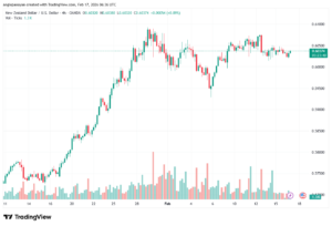 تحليل-NZDUSD-17-02-2026