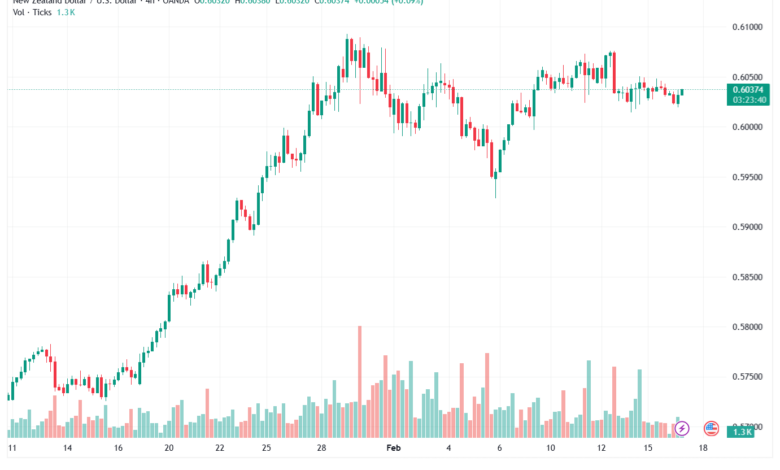 تحليل-NZDUSD-17-02-2026