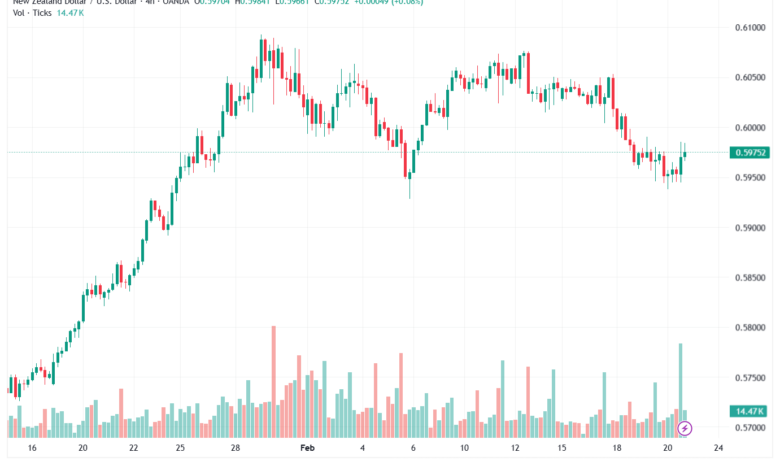 تحليل-NZDUSD-23-02-2026