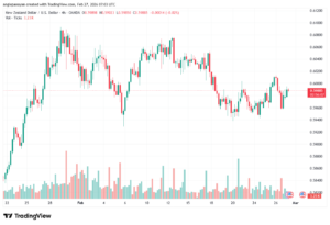 تحليل-NZDUSD-27-02-2026