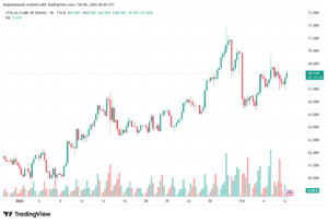 تحليل خام برنت 6-02-2026 BRENT OIL