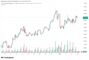 تحليل خام برنت 10-02-2026 BRENT OIL