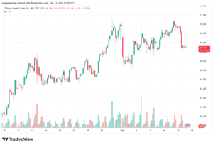 تحليل خام برنت 13-02-2026 BRENT OIL
