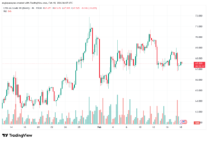 تحليل خام برنت 18-02-2026 BRENT OIL