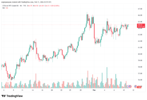 تحليل النفط CRUDE OIL -11-02-2026