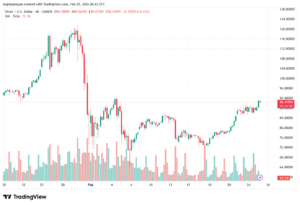 تحليل الفضة 25-02-2026 SILVER XAGUSD
