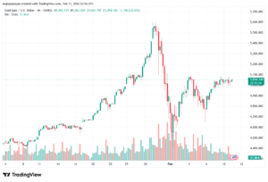 تحليل الذهب-XAUUSD-11-02-2026
