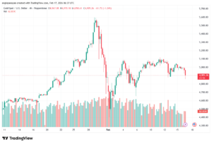 تحليل الذهب-XAUUSD-17-02-2026
