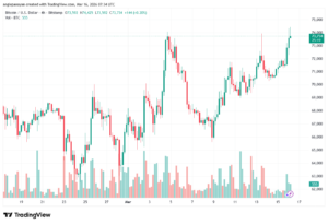 تحليل البتكوين دولار BTCUSD-16-03-2026