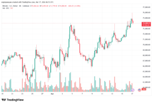 تحليل البتكوين دولار BTCUSD-17-03-2026