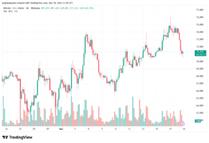 تحليل البتكوين دولار BTCUSD-19-03-2026