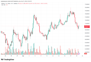تحليل البتكوين دولار BTCUSD-20-03-2026