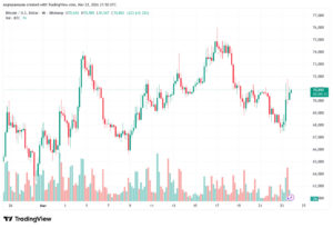 تحليل البتكوين دولار BTCUSD-24-03-2026