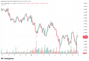 تحليل-NZDUSD-24-03-2026
