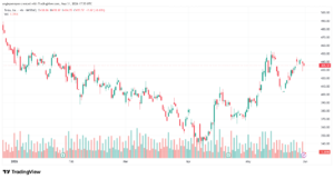 تحليل سهم تسلا الفني TSLA-01-06-2026