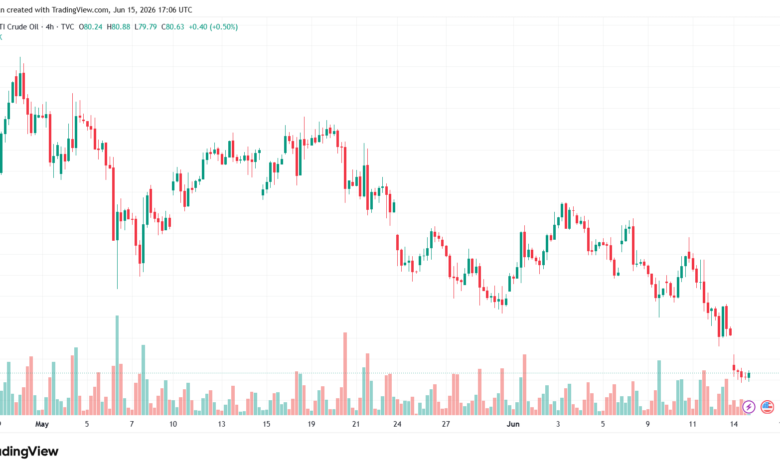 تحليل النفط CRUDE OIL -16-06-2026