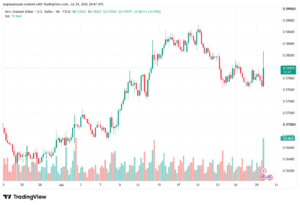 تحليل-NZDUSD-30-07-2026