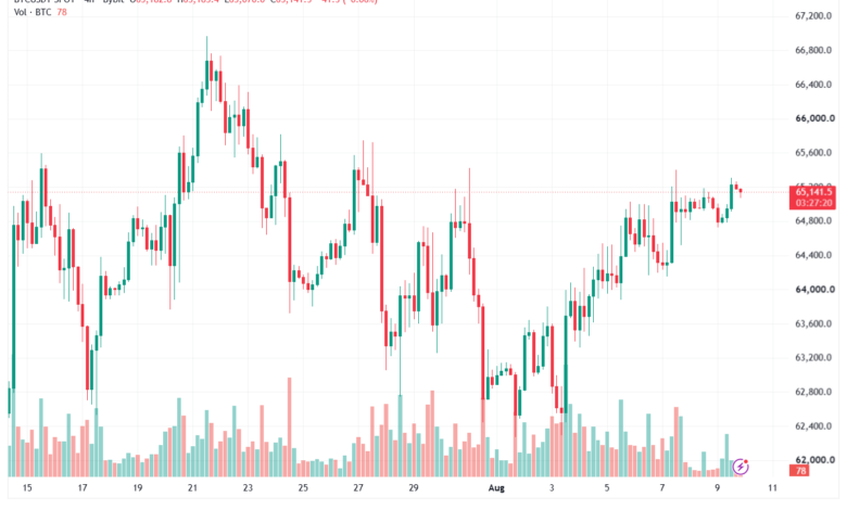 تحليل البتكوين دولار BTCUSD-10-08-2026