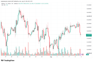 تحليل البتكوين دولار BTCUSD-11-08-2026