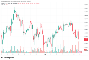 تحليل البتكوين دولار BTCUSD-13-08-2026