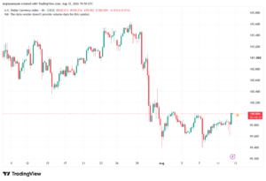 تحليل مؤشر الدولار الامريكي- Dollar Index (DXY)-13/08/2026