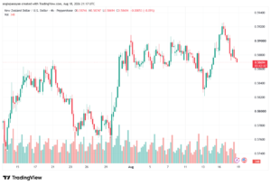 تحليل-NZDUSD-19-08-2026