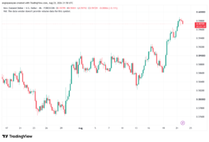 تحليل-NZDUSD-24-08-2026