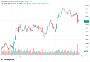 تحليل-NZDUSD-31-08-2026