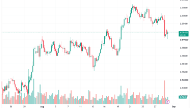 تحليل-NZDUSD-31-08-2026