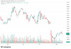 تحليل سهم تسلا الفني TSLA-13-08-2026