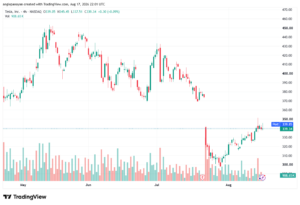 تحليل سهم تسلا الفني TSLA-18-08-2026