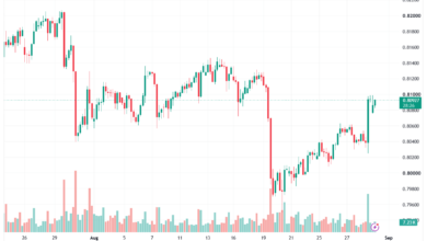 تحليل USDCHF-31-08-2026