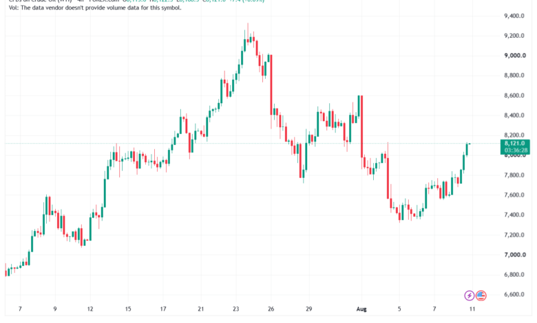 تحليل النفط CRUDE OIL -11-08-2026