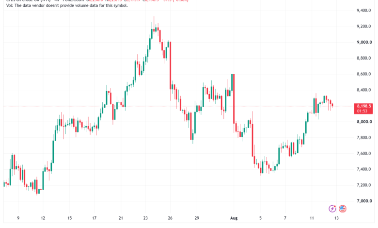 تحليل النفط CRUDE OIL -13-08-2026