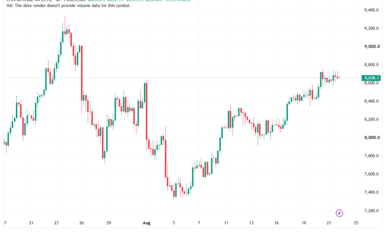 تحليل النفط CRUDE OIL -24-08-2026