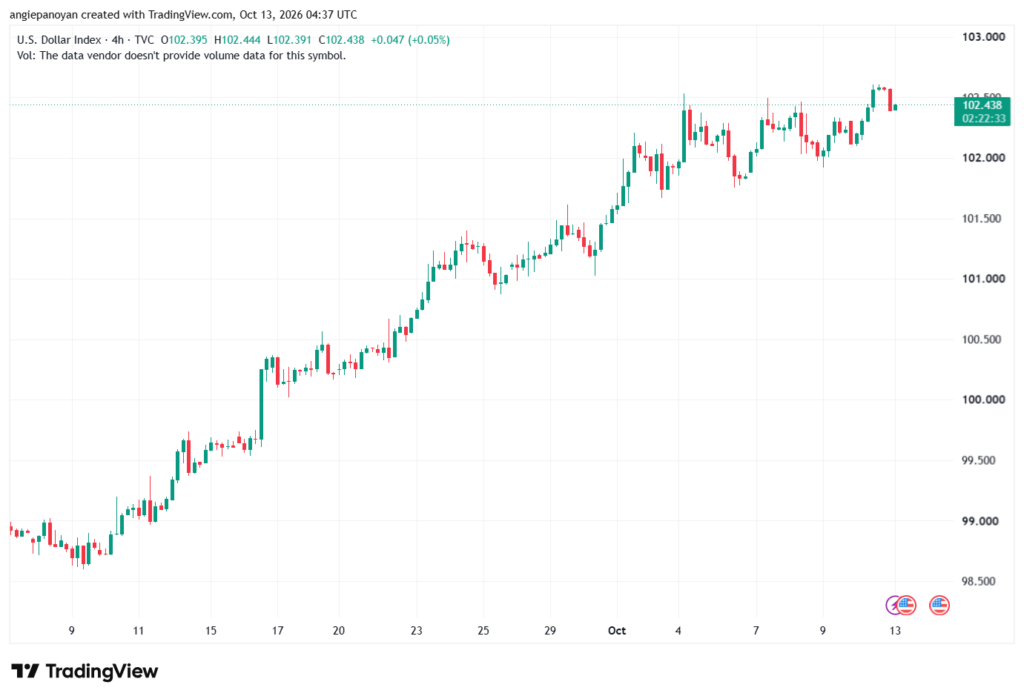 تحليل مؤشر الدولار الامريكي- Dollar Index (DXY)-13/10/2026