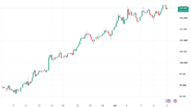 تحليل مؤشر الدولار الامريكي- Dollar Index (DXY)-13/10/2026