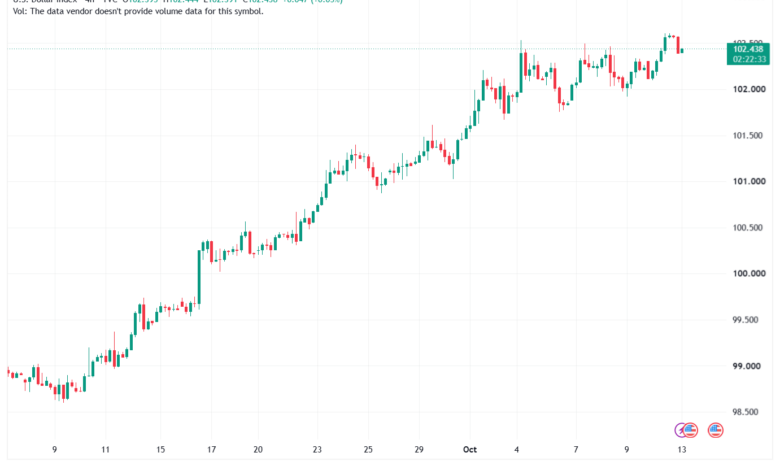 تحليل مؤشر الدولار الامريكي- Dollar Index (DXY)-13/10/2026