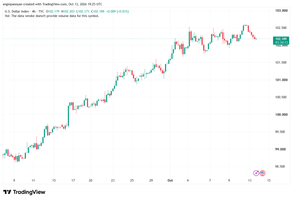 تحليل مؤشر الدولار الامريكي- Dollar Index (DXY)-14/10/2026