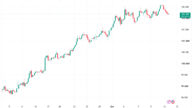 تحليل مؤشر الدولار الامريكي- Dollar Index (DXY)-14/10/2026