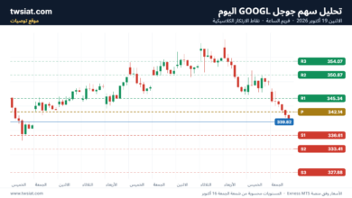 تحليل سهم جوجل الفني Google 19-10-2026