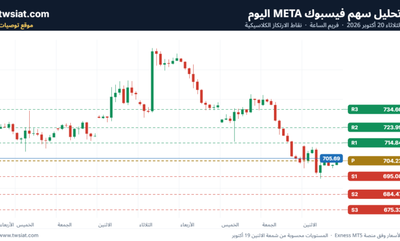 تحليل سهم فيسبوك الفني META-20-10-2026