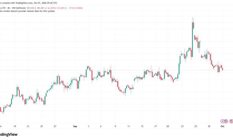 تحليل الغاز الطبيعي NATURAL GAS 01-10-2026