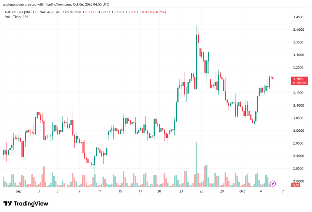 تحليل الغاز الطبيعي NATURAL GAS 06-10-2026